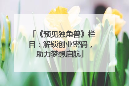 《预见独角兽》栏目：解锁创业密码，助力梦想启航