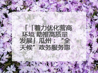 「着力优化营商环境 助推高质量发展」瓜州：“全天候”政务服务惠企便民