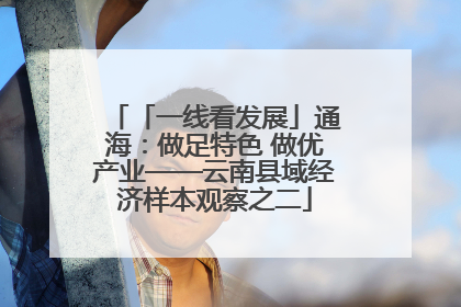 「一线看发展」通海：做足特色 做优产业——云南县域经济样本观察之二