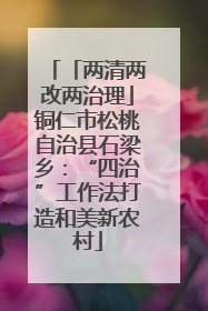 「两清两改两治理」铜仁市松桃自治县石梁乡：“四治”工作法打造和美新农村