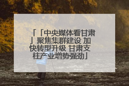 「中央媒体看甘肃」聚焦集群建设 加快转型升级 甘肃支柱产业增势强劲