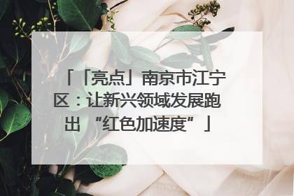 「亮点」南京市江宁区：让新兴领域发展跑出 “红色加速度”