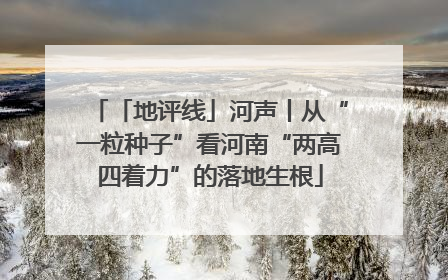 「地评线」河声丨从“一粒种子”看河南“两高四着力”的落地生根