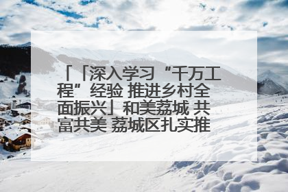 「深入学习“千万工程”经验 推进乡村全面振兴」和美荔城 共富共美 荔城区扎实推进乡村振兴工作