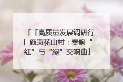 「高质量发展调研行」施秉花山村：奏响“红”与“绿”交响曲
