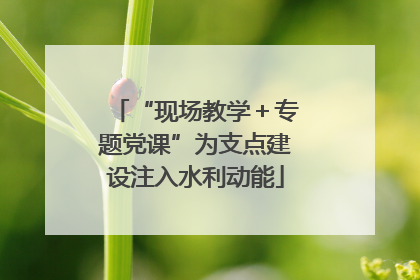 “现场教学＋专题党课”为支点建设注入水利动能