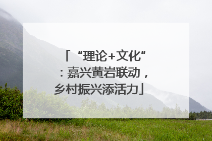 “理论+文化”：嘉兴黄岩联动，乡村振兴添活力