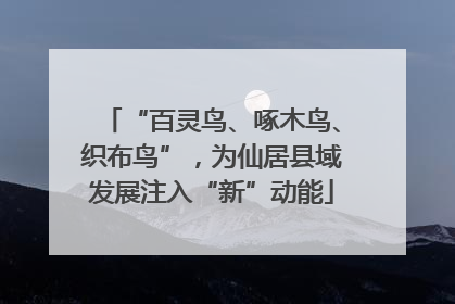 “百灵鸟、啄木鸟、织布鸟”，为仙居县域发展注入“新”动能