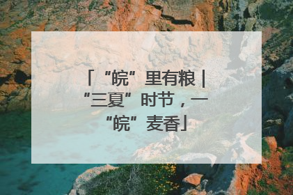“皖”里有粮｜“三夏”时节，一“皖”麦香