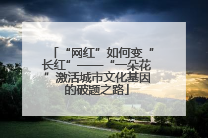 “网红”如何变“长红”——“一朵花”激活城市文化基因的破题之路