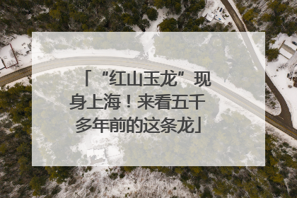 “红山玉龙”现身上海！来看五千多年前的这条龙