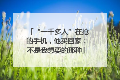 “一千多人”在抢的手机，他买回家：不是我想要的那种