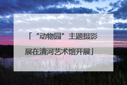 “动物园”主题摄影展在清河艺术馆开展