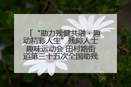 “助力残健共融・趣动精彩人生”残障人士趣味运动会 田村路街道第三十五次全国助残日主题活动圆满举办