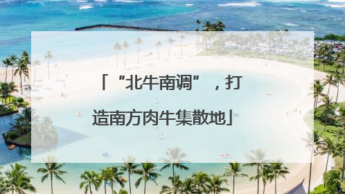“北牛南调”，打造南方肉牛集散地