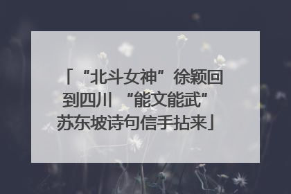 “北斗女神”徐颖回到四川 “能文能武”苏东坡诗句信手拈来