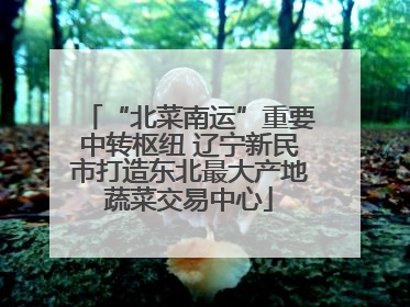 “北菜南运”重要中转枢纽 辽宁新民市打造东北最大产地蔬菜交易中心