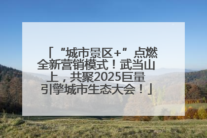 “城市景区+”点燃全新营销模式！武当山上，共聚2025巨量引擎城市生态大会！