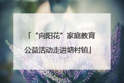 “向阳花”家庭教育公益活动走进塘村镇
