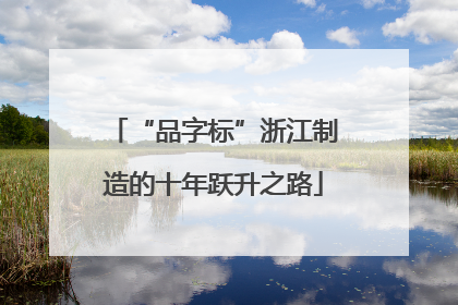 “品字标”浙江制造的十年跃升之路