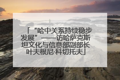 “哈中关系持续稳步发展”——访哈萨克斯坦文化与信息部副部长叶夫根尼·科切托夫