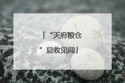 “天府粮仓”夏收见闻