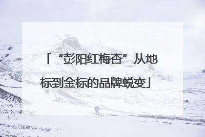“彭阳红梅杏”从地标到金标的品牌蜕变