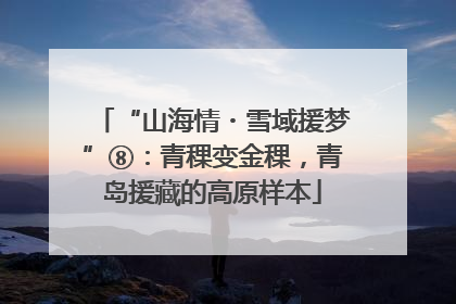 “山海情・雪域援梦”⑧：青稞变金稞，青岛援藏的高原样本