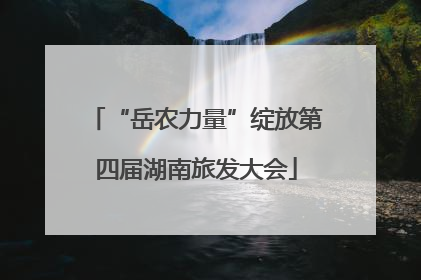 “岳农力量”绽放第四届湖南旅发大会