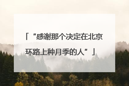 “感谢那个决定在北京环路上种月季的人”