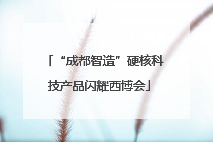 “成都智造”硬核科技产品闪耀西博会