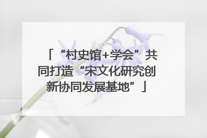 “村史馆+学会”共同打造“宋文化研究创新协同发展基地”