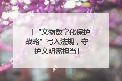 “文物数字化保护战略”写入法规，守护文明需担当
