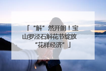 “斛”然开朗！宝山罗泾石斛花节绽放“花样经济”