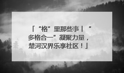 “格”里那些事丨“多格合一”凝聚力量，楚河汉界乐享社区！
