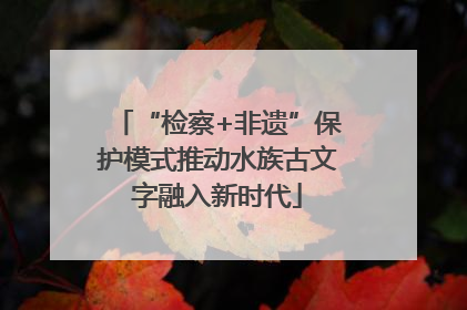 “检察+非遗”保护模式推动水族古文字融入新时代