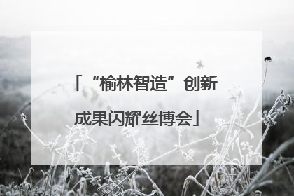 “榆林智造”创新成果闪耀丝博会