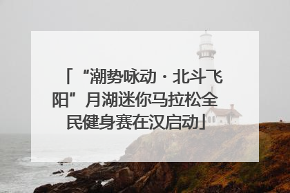 “潮势咏动・北斗飞阳”月湖迷你马拉松全民健身赛在汉启动