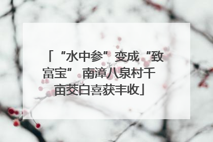 “水中参”变成“致富宝” 南漳八泉村千亩茭白喜获丰收
