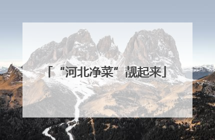 “河北净菜”靓起来