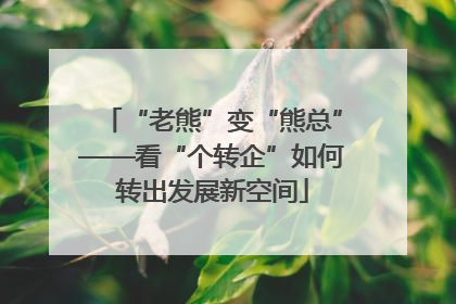 “老熊”变“熊总”——看“个转企”如何转出发展新空间