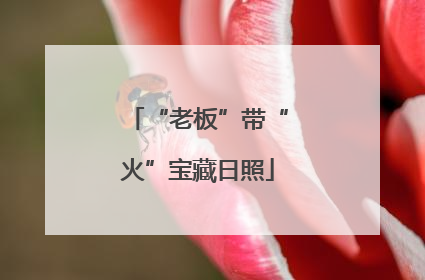 “老板”带“火”宝藏日照
