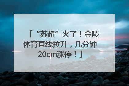 “苏超”火了！金陵体育直线拉升，几分钟20cm涨停！