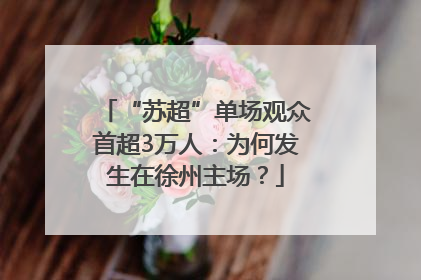 “苏超”单场观众首超3万人：为何发生在徐州主场？