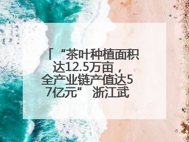 “茶叶种植面积达12.5万亩，全产业链产值达57亿元” 浙江武义茶产业全链发展“加速度”