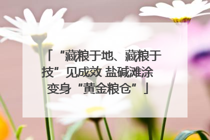 “藏粮于地、藏粮于技”见成效 盐碱滩涂变身“黄金粮仓”