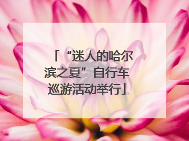 “迷人的哈尔滨之夏”自行车巡游活动举行