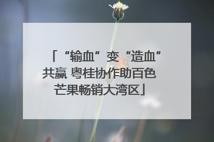 “输血”变“造血”共赢 粤桂协作助百色芒果畅销大湾区