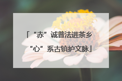 “赤”诚普法进茶乡 “心”系古镇护文脉
