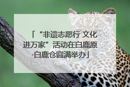 “非遗志愿行 文化进万家”活动在白鹿原·白鹿仓圆满举办